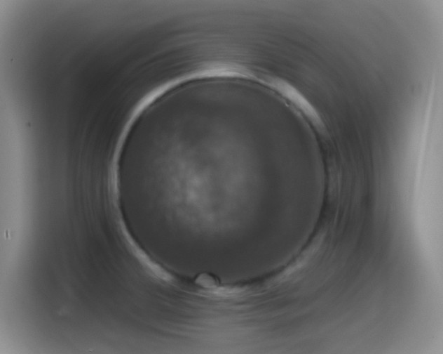 X0000114581380200910191514