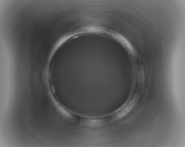 X0000114581381200910191514