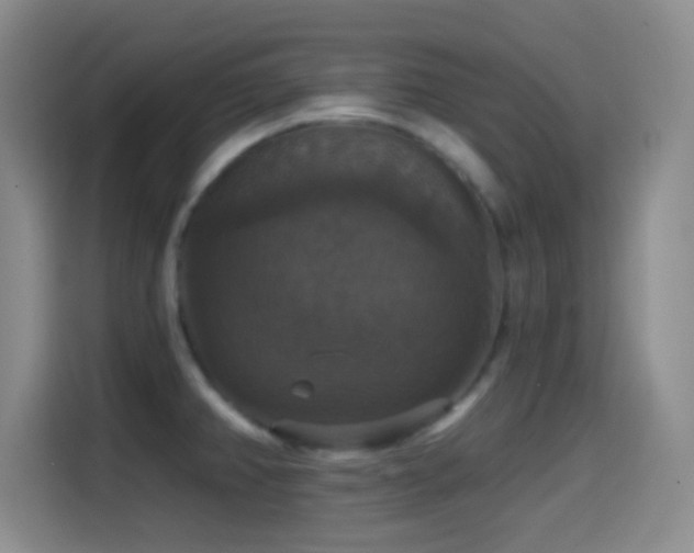 X0000114581382200910191514