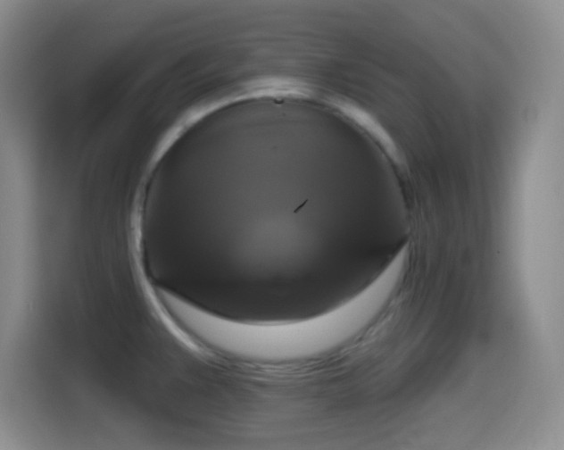 X0000114581383200910191514