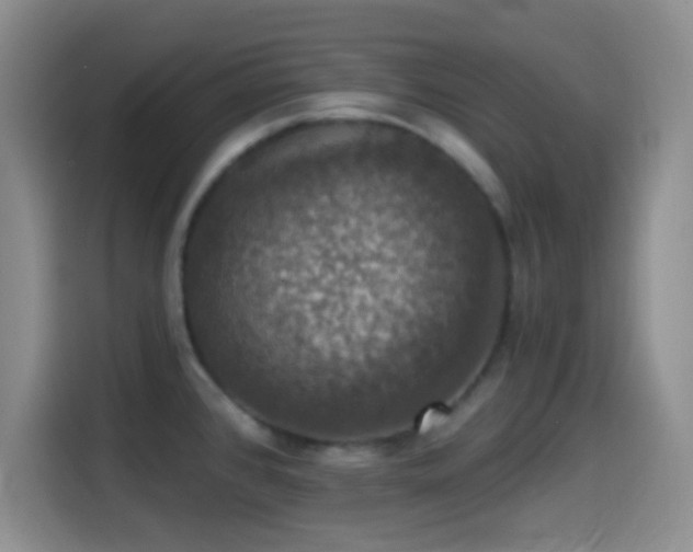 X0000114581384200910191514