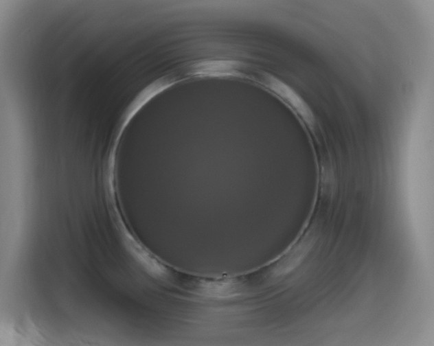 X0000114581386200910191514