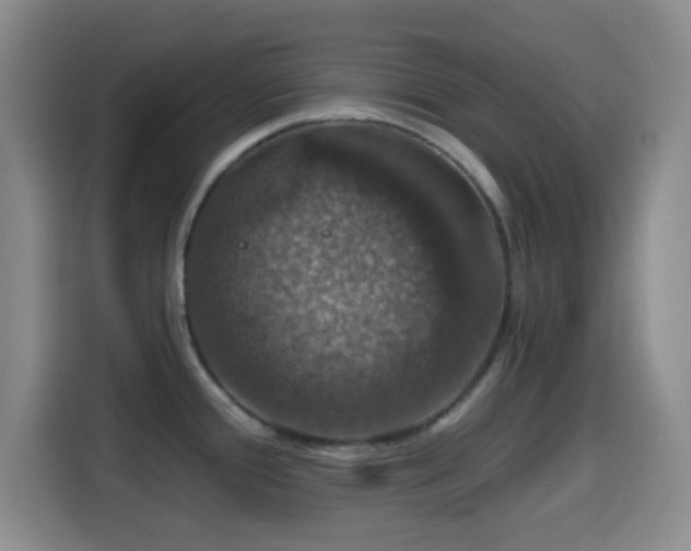 X0000114581388200910191514