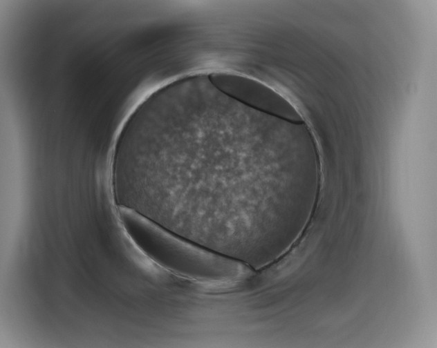 X0000114581392200910191514