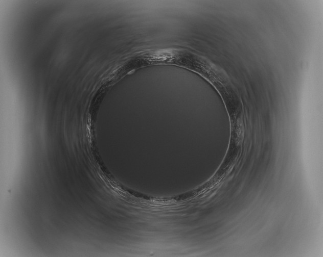 X0000114581394200910191514