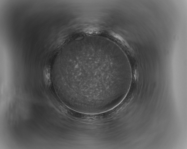 X0000114581396200910191514