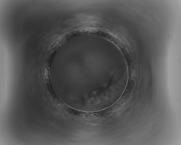 X0000114581397200910191514