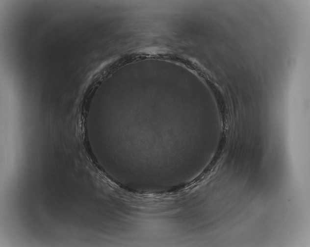 X0000114581398200910191514