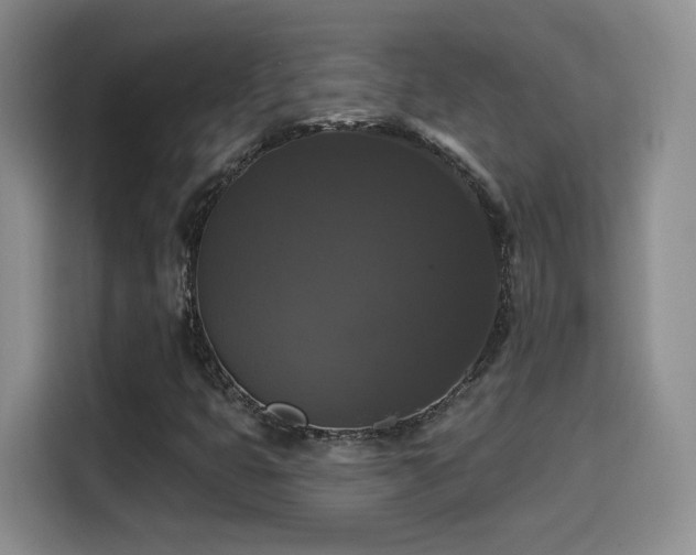 X0000114581399200910191514