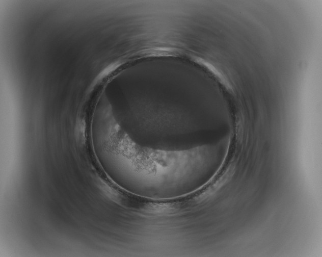 X0000114581402200910191514