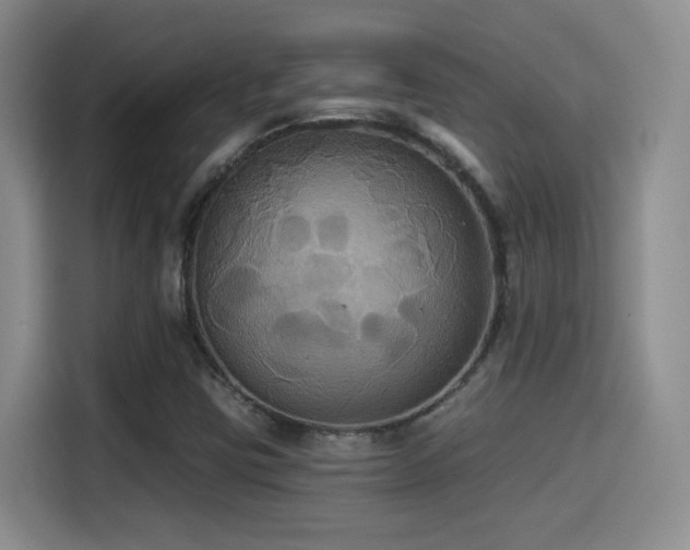 X0000114581403200910191514