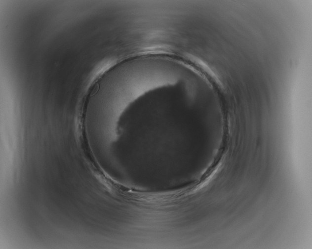 X0000114581405200910191514