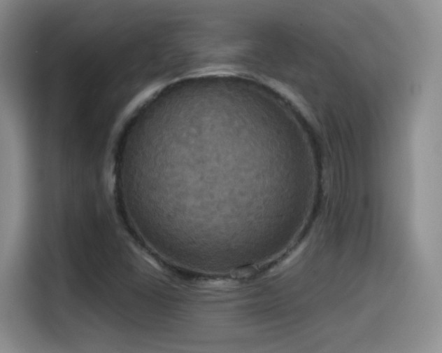 X0000114581406200910191514