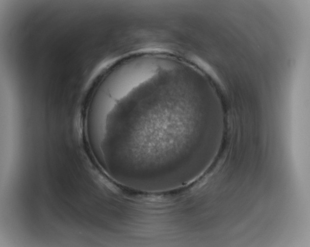 X0000114581408200910191514