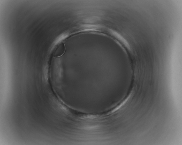 X0000114581411200910191514