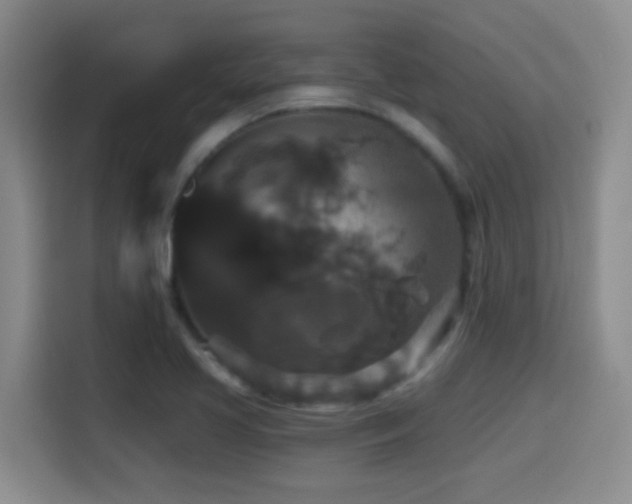 X0000114581413200910191514