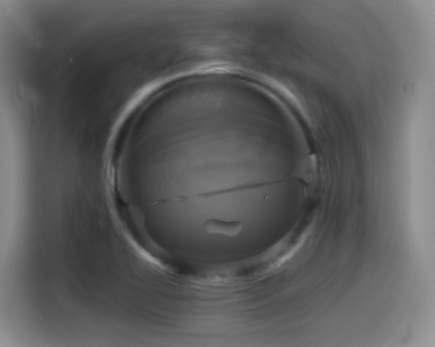 X0000114581414200910191514