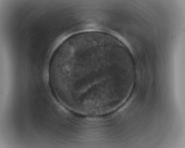 X0000114581415200910191514