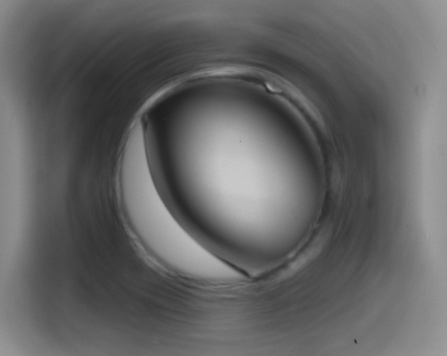 X0000114581417200910191514