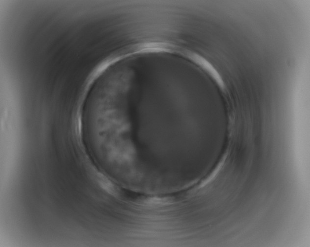 X0000114581419200910191514