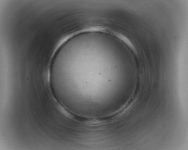 X0000114581420200910191514