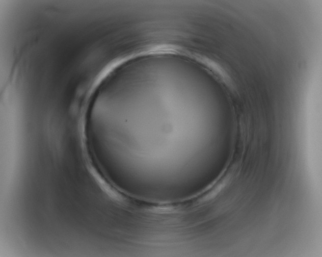 X0000114581422200910191514