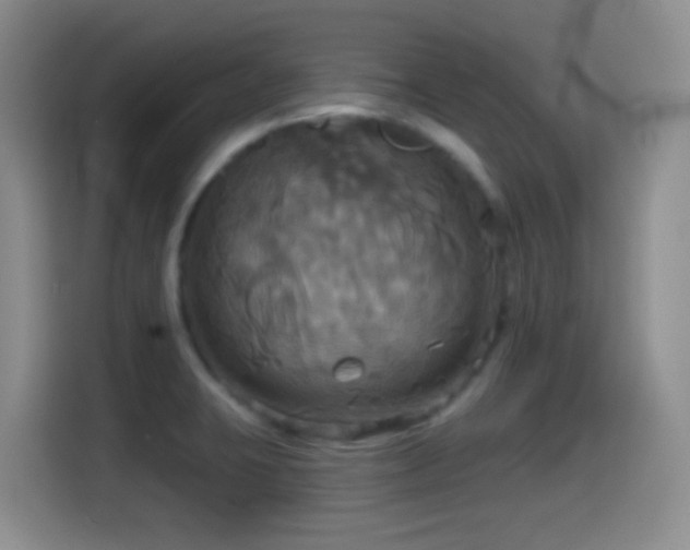 X0000114581423200910191514