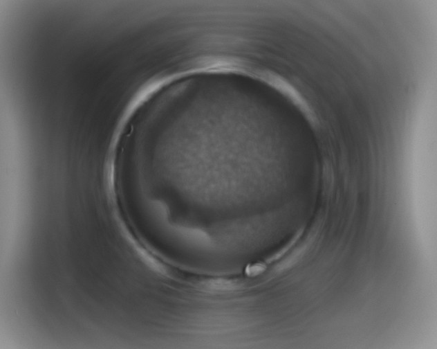 X0000114581424200910191514