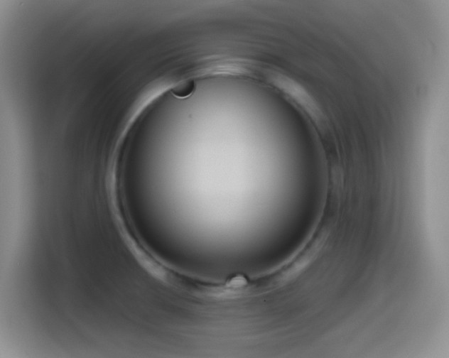 X0000114581426200910191514