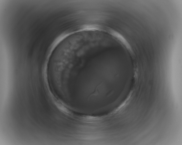 X0000114581427200910191514