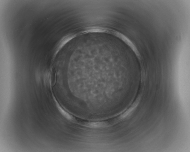 X0000114581433200910191514