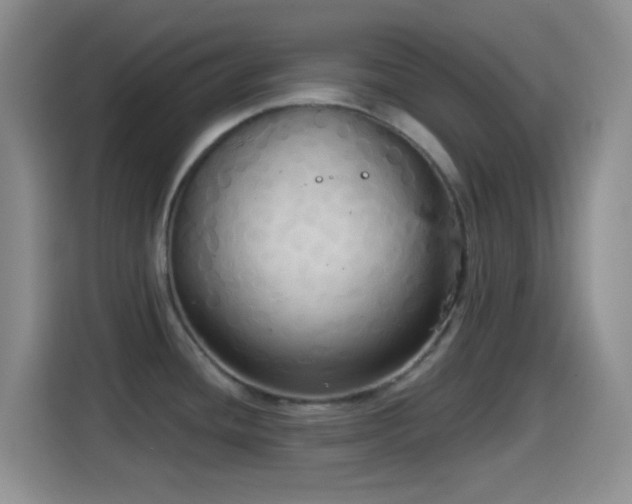 X0000114581436200910191514