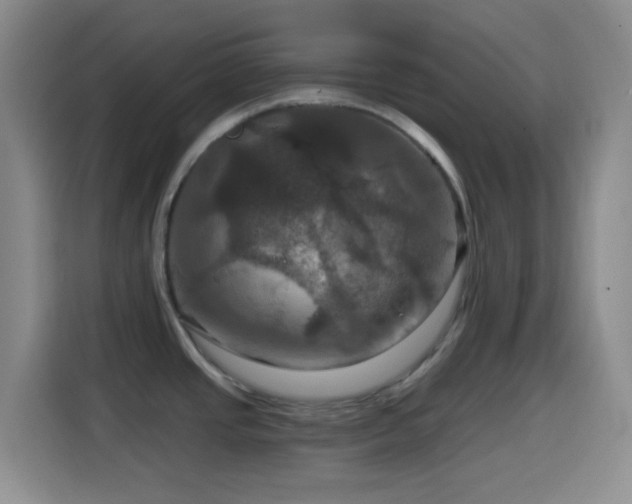 X0000114581437200910191514