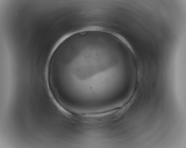 X0000114581438200910191514