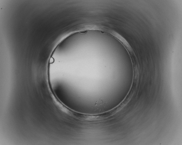 X0000114581439200910191514