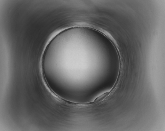 X0000114581440200910191514