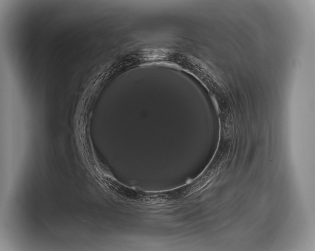 X0000114581441200910191514