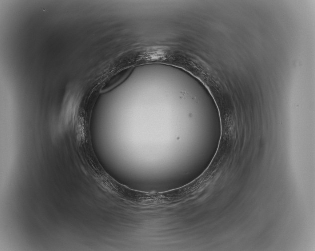 X0000114581442200910191514