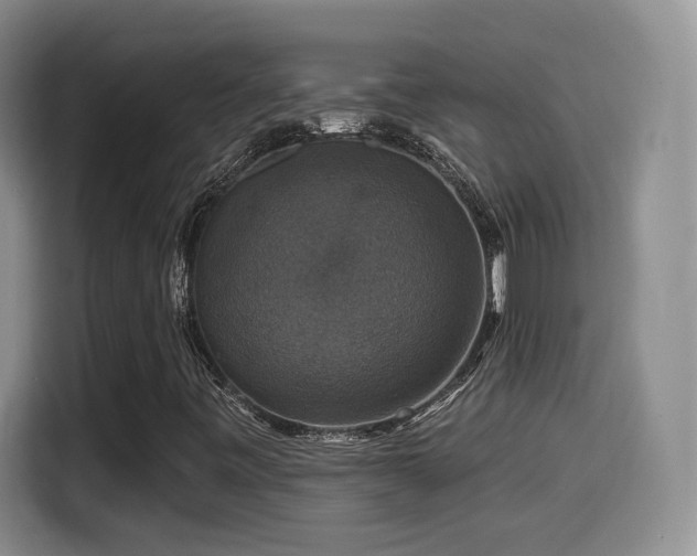 X0000114581443200910191514