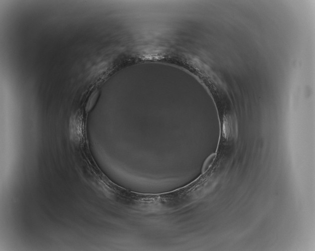 X0000114581444200910191514