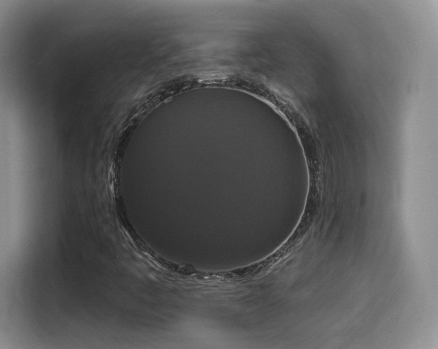 X0000114581445200910191514