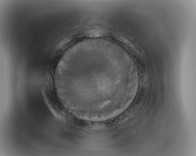 X0000114581446200910191514