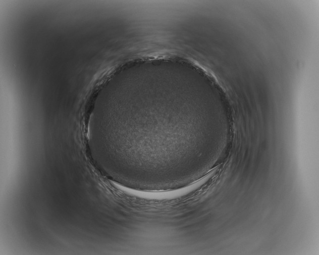 X0000114581447200910191514