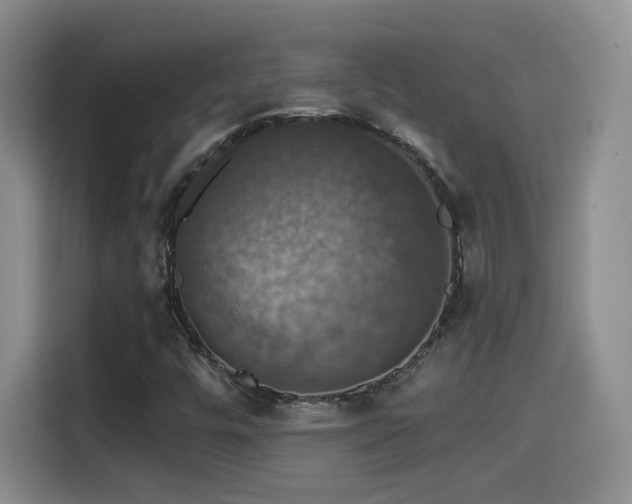 X0000114581448200910191514