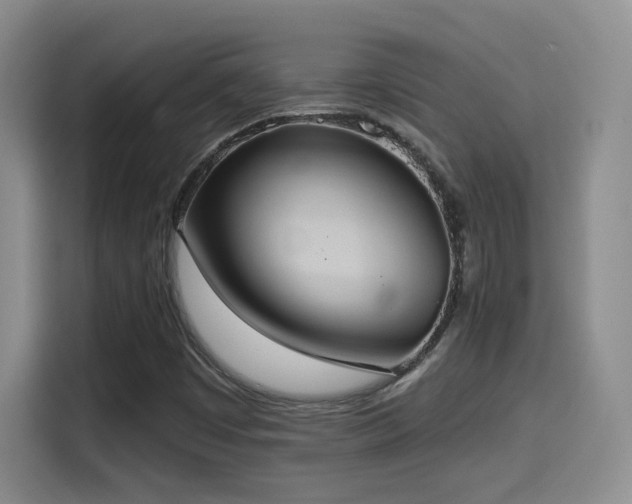 X0000114581449200910191514