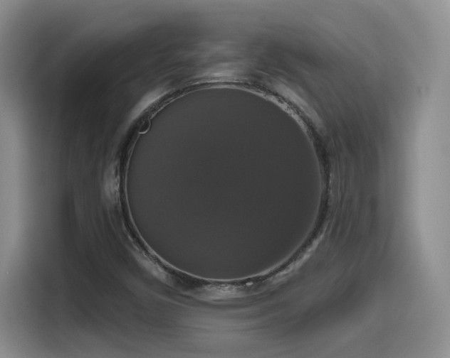 X0000114581450200910191514