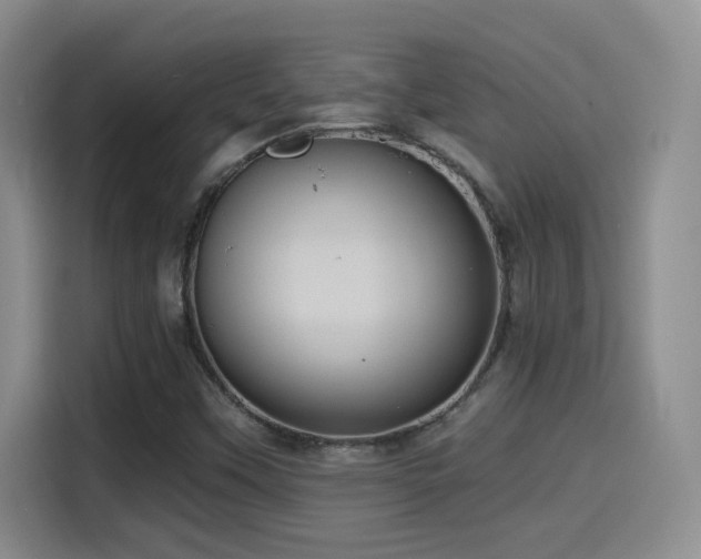 X0000114581451200910191514