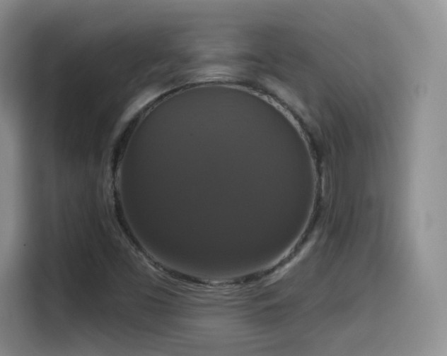 X0000114581453200910191513