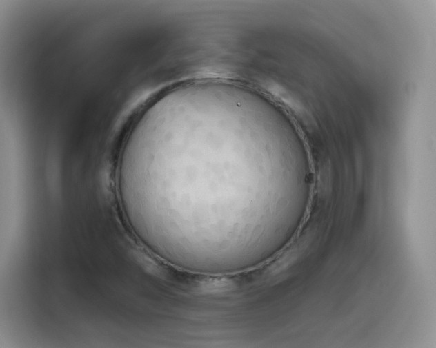 X0000114581454200910191513