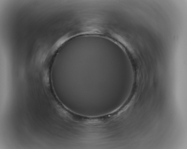 X0000114581455200910191513